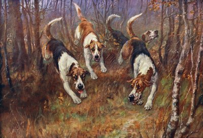 Avec le Rufford - Maud Earl